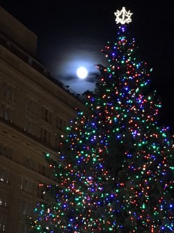 full moon and lit xmas tree new years.jpg